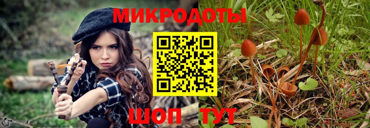 Псилоцибиновые грибы MAGIC MUSHROOMS Усинск