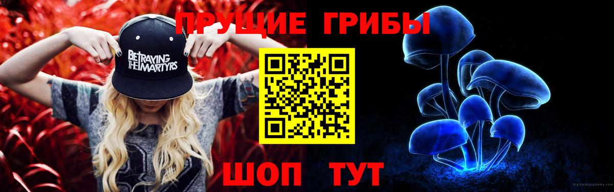 Галлюциногенные грибы мицелий  что такое   Усинск  Вход с VPN 